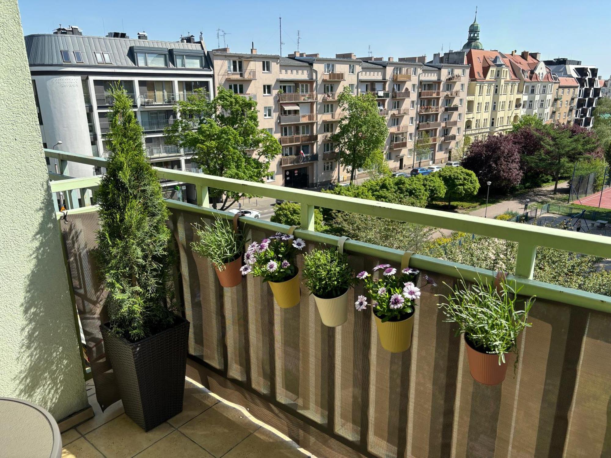 Apartament Wilda 포즈난 외부 사진